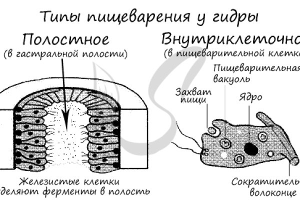 Меф телеграмм